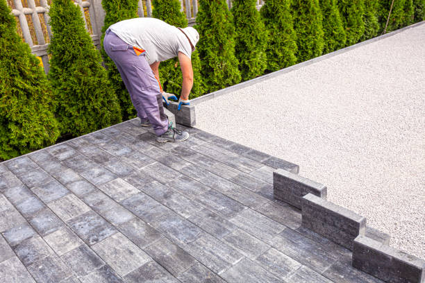 Best Local Driveway Pavers  in Westminster, MD